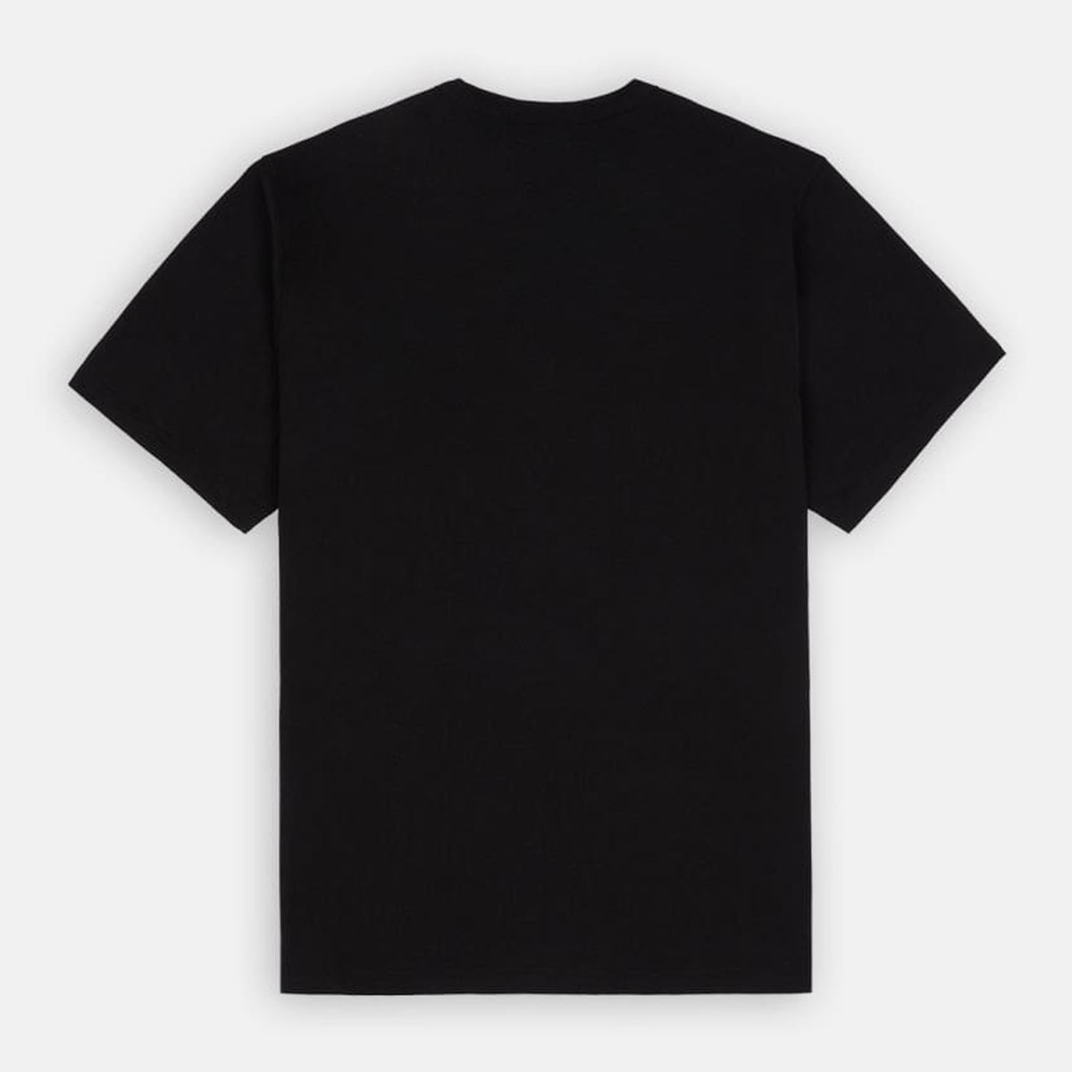 Футболка Dickies WSR63BKX