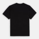 Футболка Dickies WSR63BKX