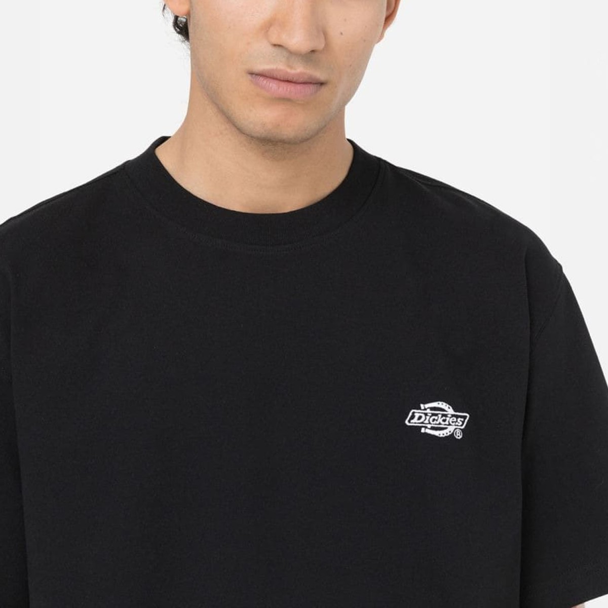 Футболка Dickies WSR63BKX
