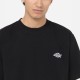 Футболка Dickies WSR63BKX