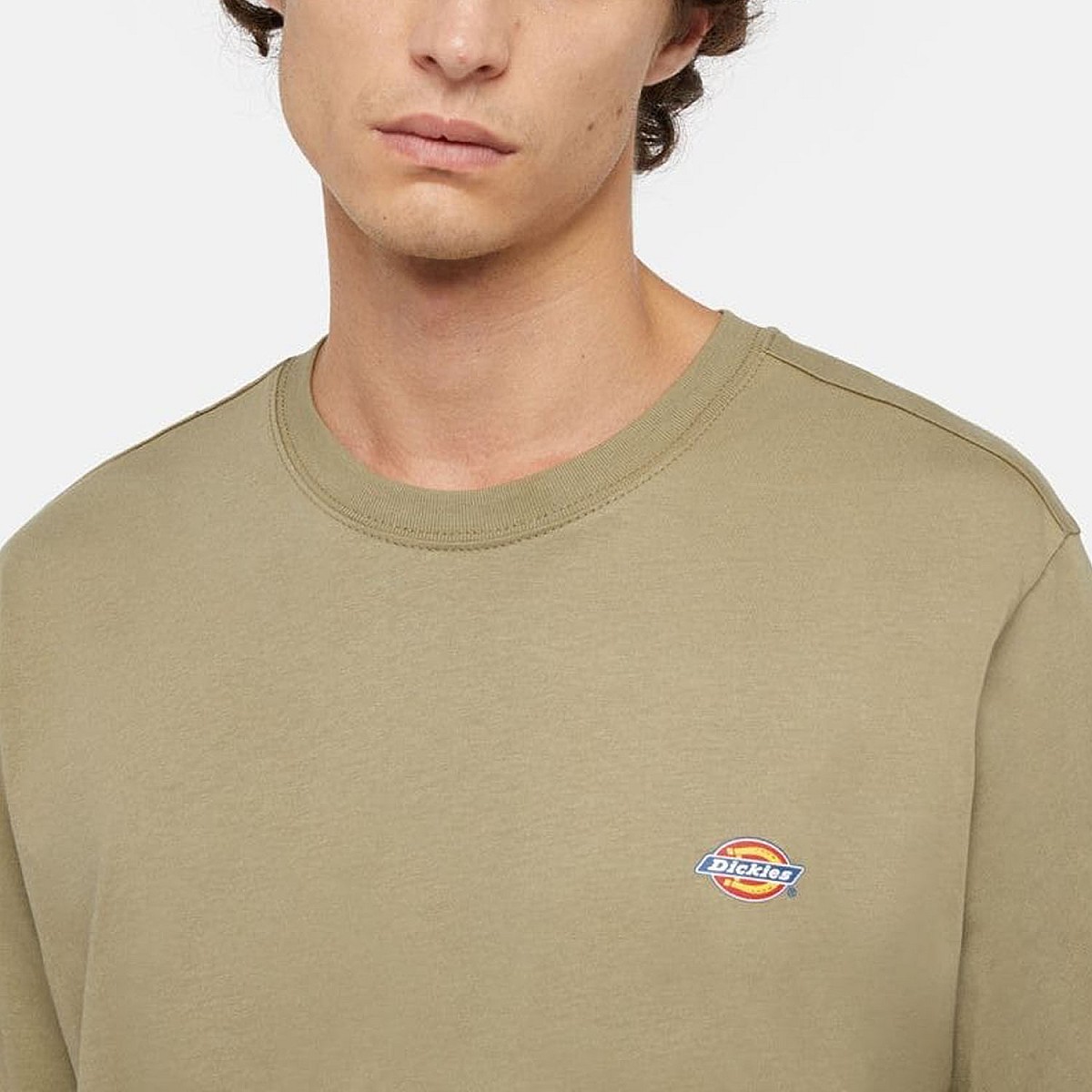 Футболка Dickies WSR64SS0