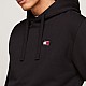Худі Tommy Hilfiger DM0DM17988 BDS