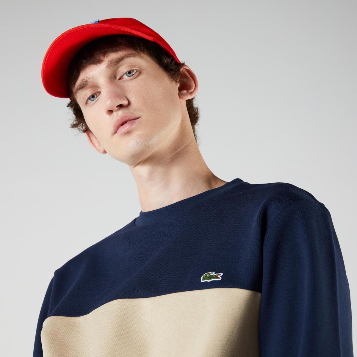 Світшот Lacoste SH6904 1FE