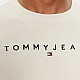 Футболка Tommy Hilfiger DM0DM17993 ACG