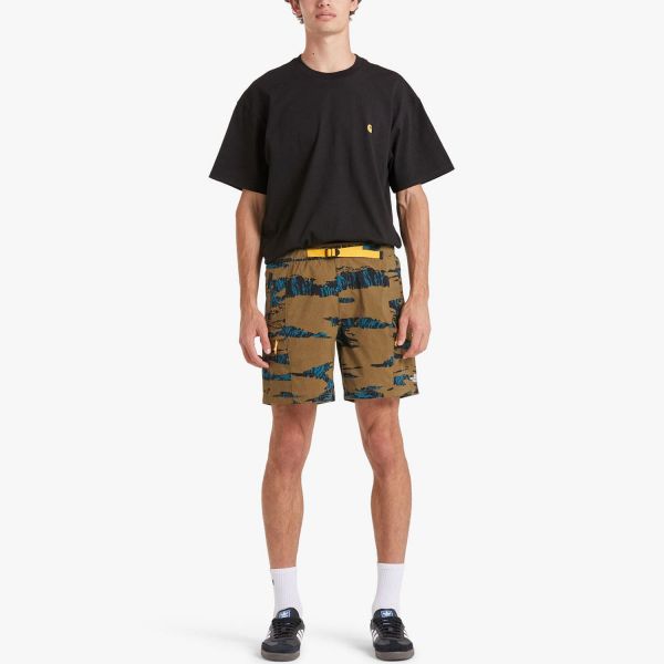 Шорты The North Face M Class V BLTD Short.