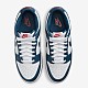 Кеды Nike Dunk Low Retro DD1391 400