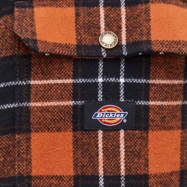 Овершорт Dickies DK0A4XGUD711