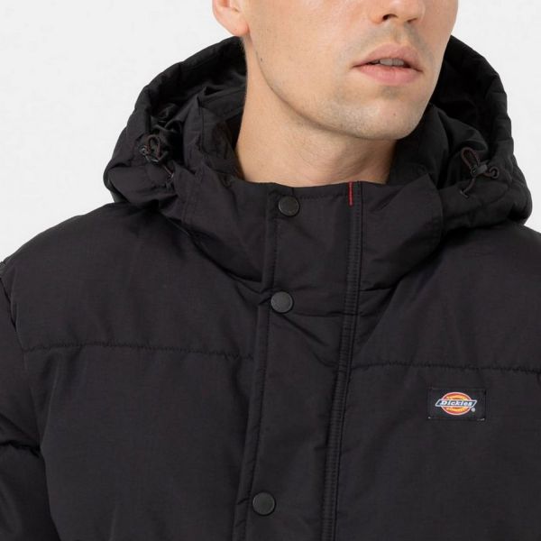 Куртка Dickies DK0A4Y3WBLK1.