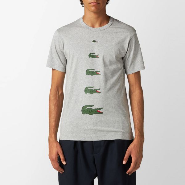 Футболка Lacoste Comme des Garçons FL-T011-W23-1.