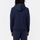 Худі Dickies DK0A4XCDNV01