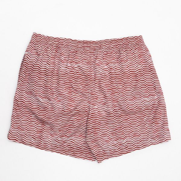 Плавательные шорты Ermenegildo Zegna N7B540370 Dark Red Fantasy