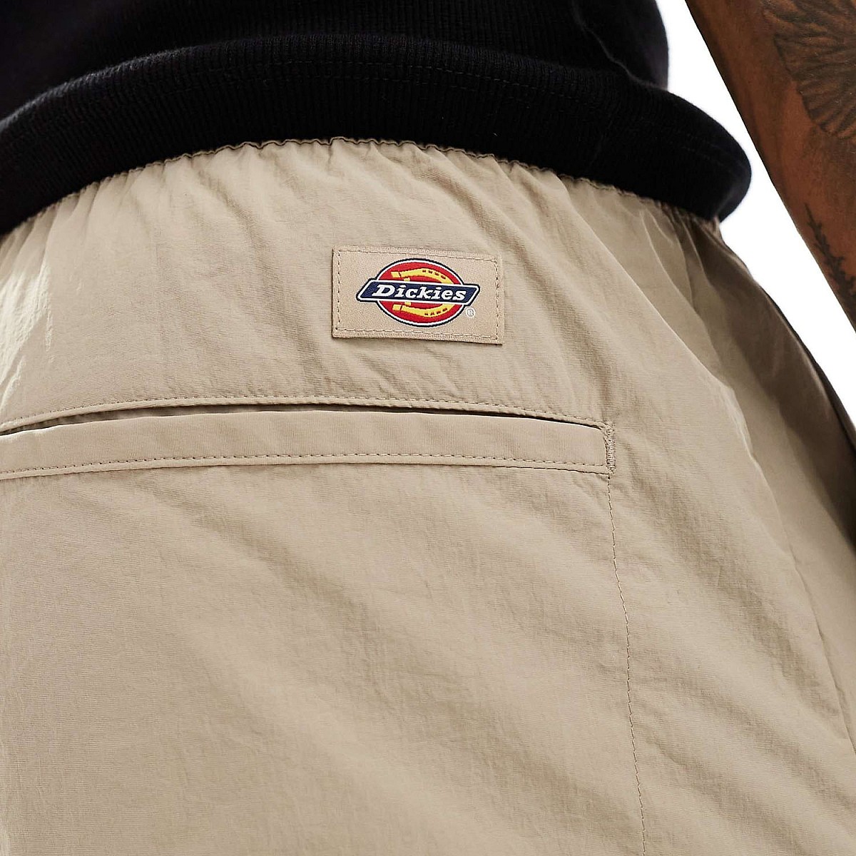 Шорти Dickies DK0A4Z4ASS0