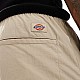 Шорти Dickies DK0A4Z4ASS0