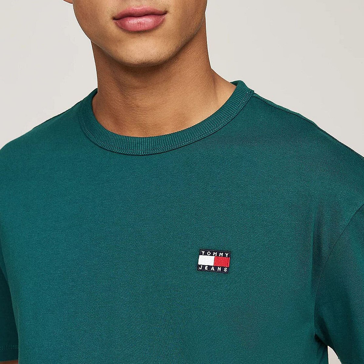 Футболка Tommy Hilfiger DM0DM17995 CWG