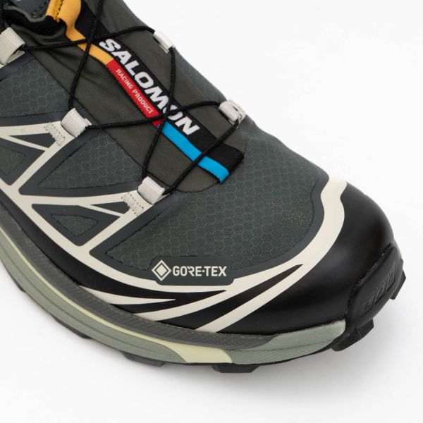 Кроссовки Salomon XT-6 GTX Urban Chic/Black/Lime Cream.