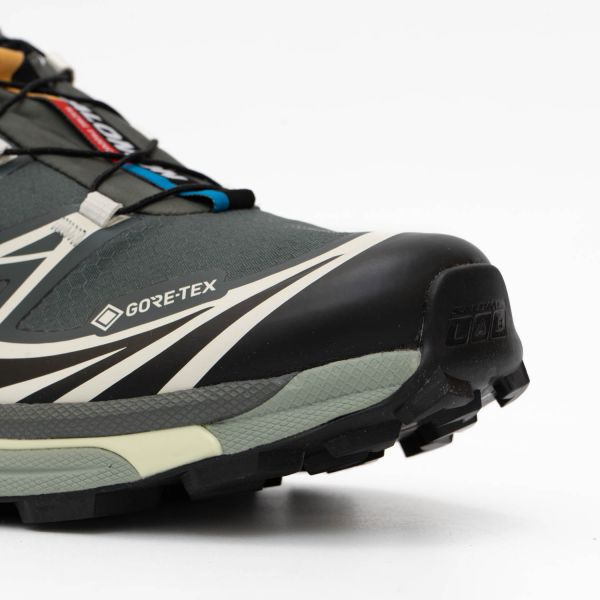 Кроссовки Salomon XT-6 GTX Urban Chic/Black/Lime Cream.