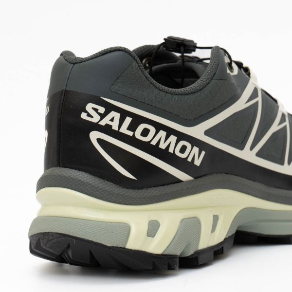 Кроссовки Salomon XT-6 GTX Urban Chic/Black/Lime Cream.