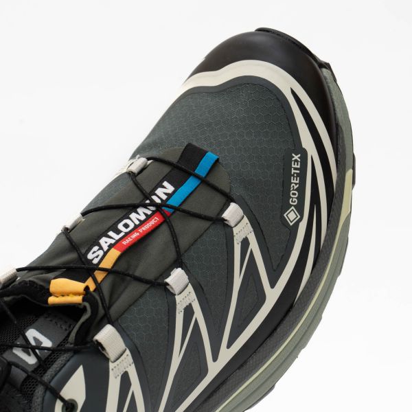 Кроссовки Salomon XT-6 GTX Urban Chic/Black/Lime Cream.