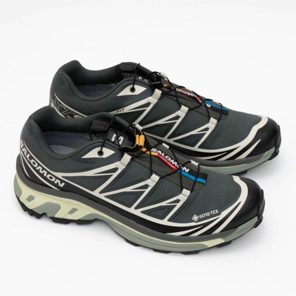 Кроссовки Salomon XT-6 GTX Urban Chic/Black/Lime Cream