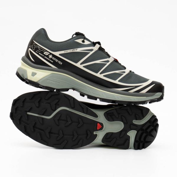 Кроссовки Salomon XT-6 GTX Urban Chic/Black/Lime Cream.