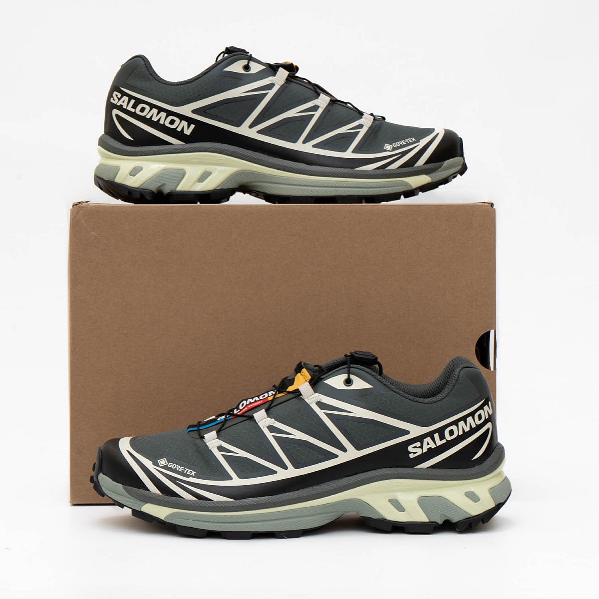 Кросівки Salomon XT-6 GTX Urban Chic/Black/Lime Cream — купити в