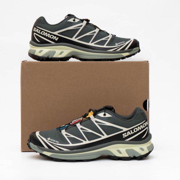Кроссовки Salomon XT-6 GTX Urban Chic/Black/Lime Cream.