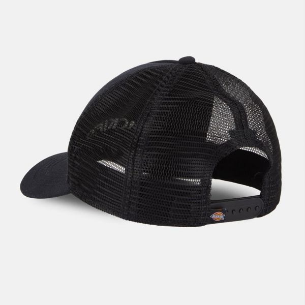 Кепка Dickies DK0A4YPGBLK1