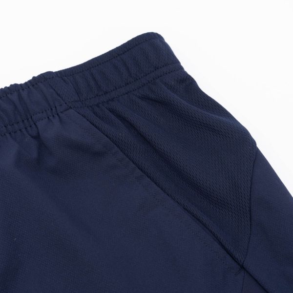 Шорти Lacoste GH9420 423.
