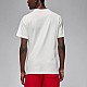 Футболка Nike Jordan FB5964-133