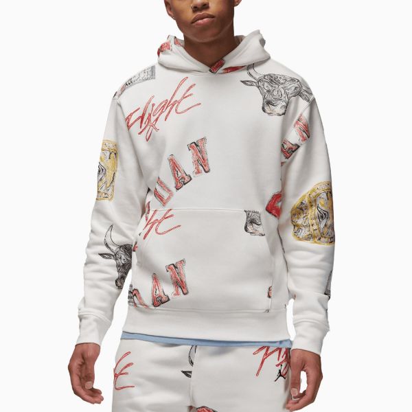 Худи Nike Jordan FN4545-133.