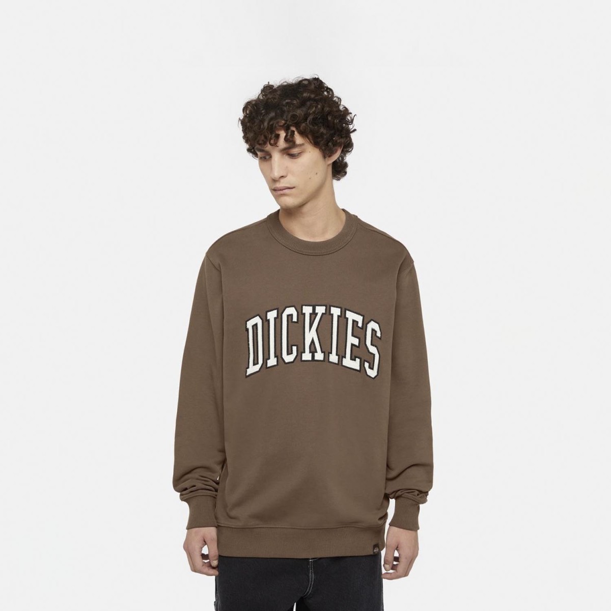 Світшот Dickies DK0A4XABJ961