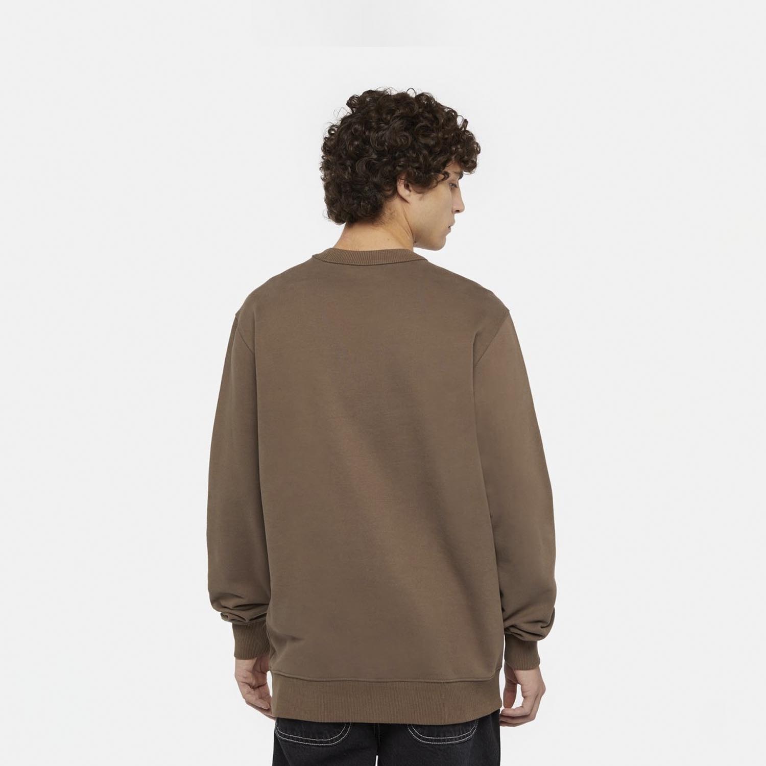 Світшот Dickies DK0A4XABJ961