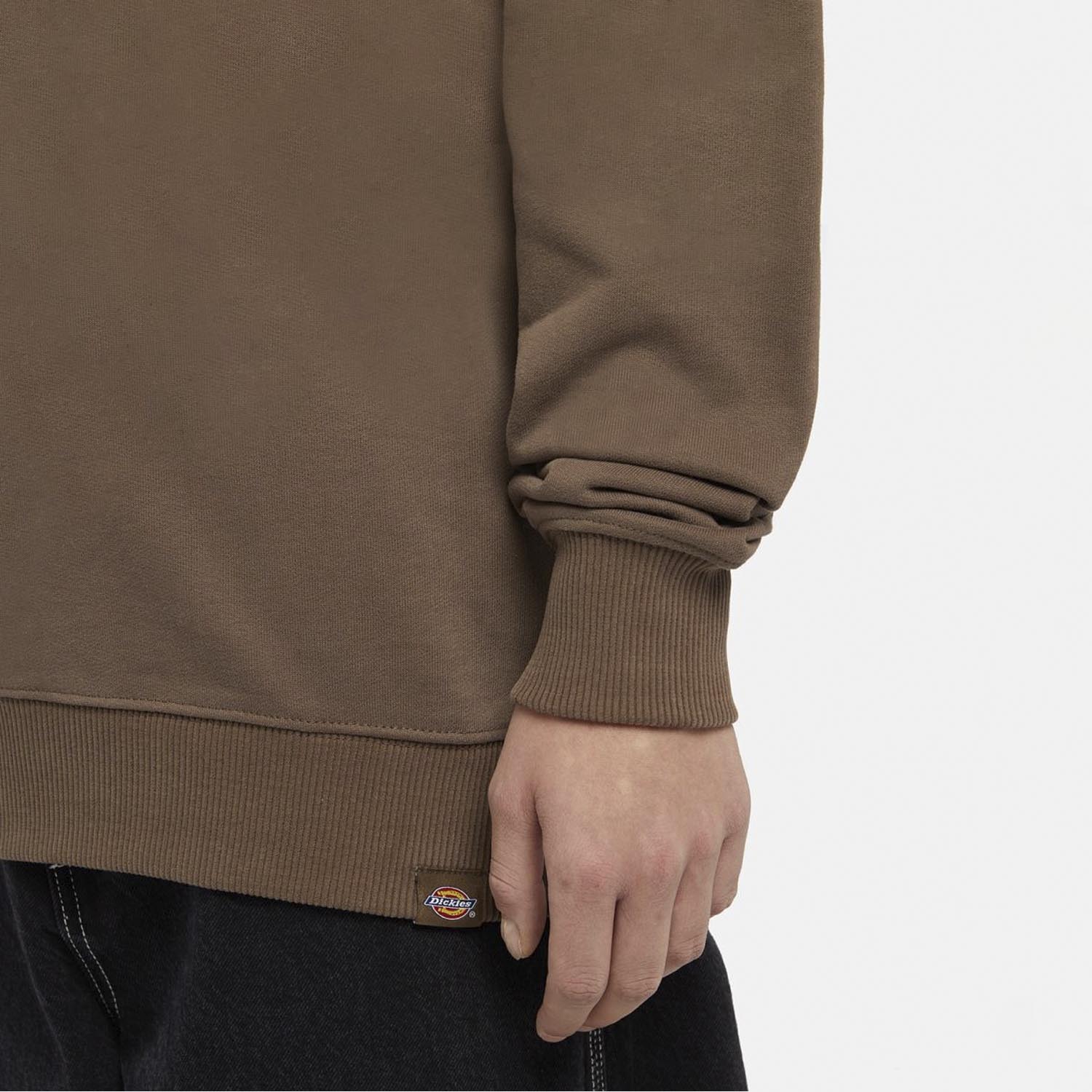Світшот Dickies DK0A4XABJ961