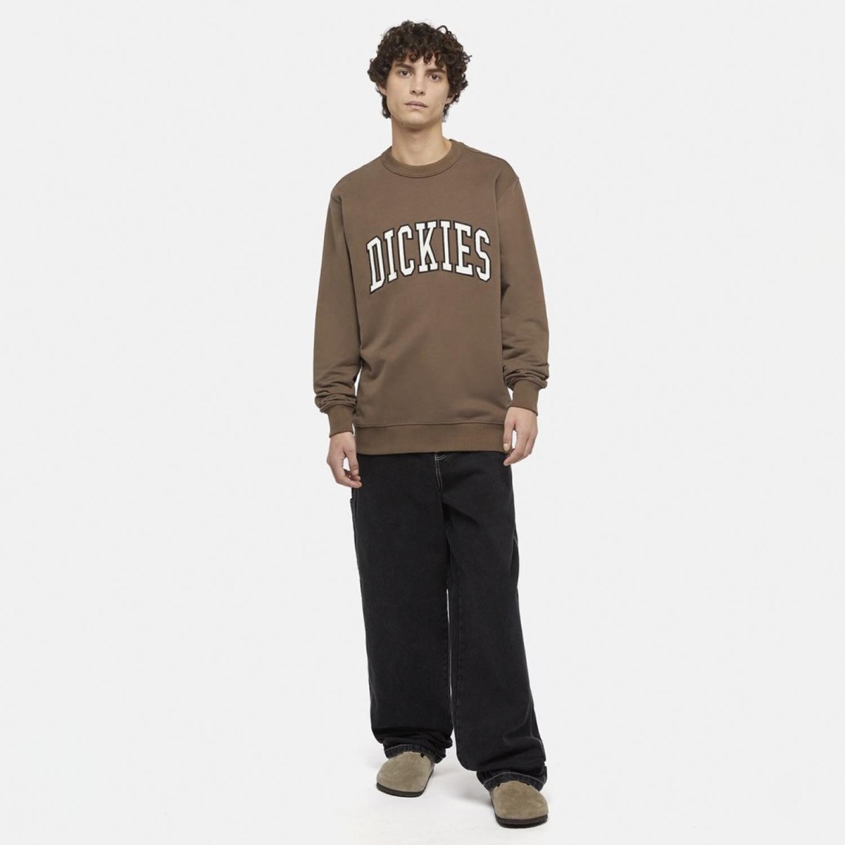 Світшот Dickies DK0A4XABJ961