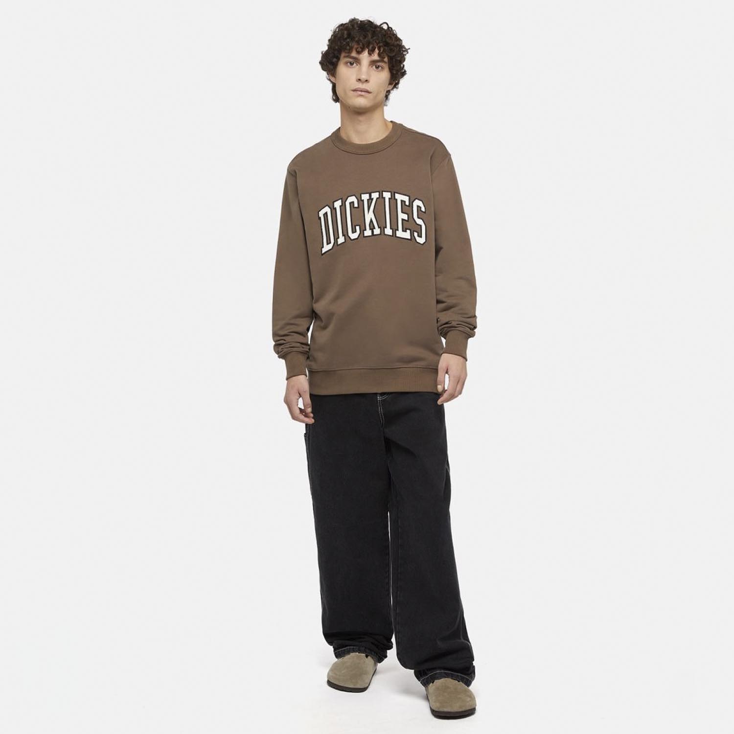 Світшот Dickies DK0A4XABJ961