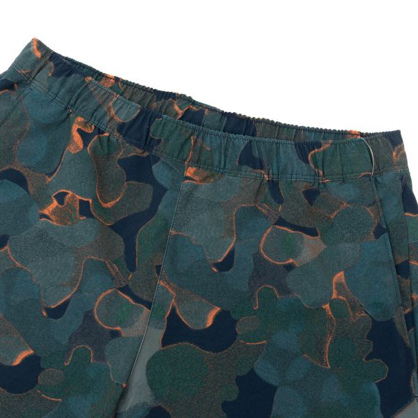 Шорты The North Face M Wander Short.