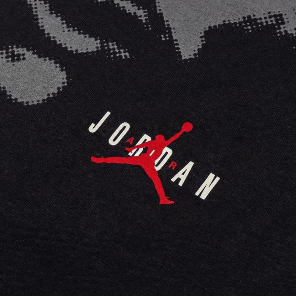 Футболка Nike Jordan HV5091-045.