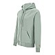 Худі Carhartt I033664 Frosted Green/Gold