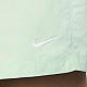 Шорти Nike ACG DV9535-370