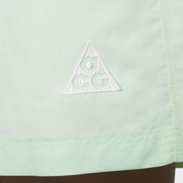 Шорты Nike ACG DV9535-370