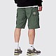 Шорти Carhartt I028246 29N02