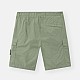 Шорти Stone Island K1S15L100L08S0003 v0055