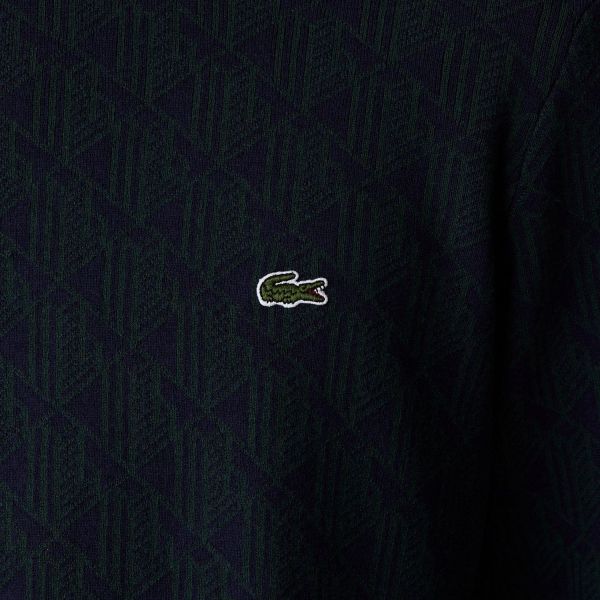 Свитер Lacoste AH2413 13Y