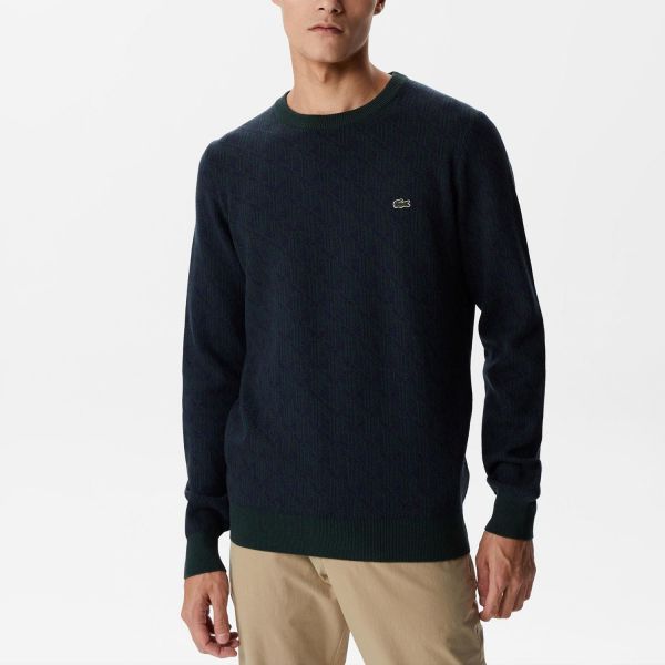Свитер Lacoste AH2413 13Y.