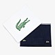 Шапка та шарф Lacoste RB5385 166