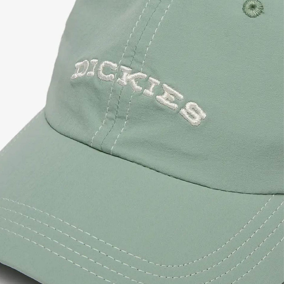 Кепка Dickies DK0A4Z6PK36