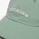 Кепка Dickies DK0A4Z6PK36