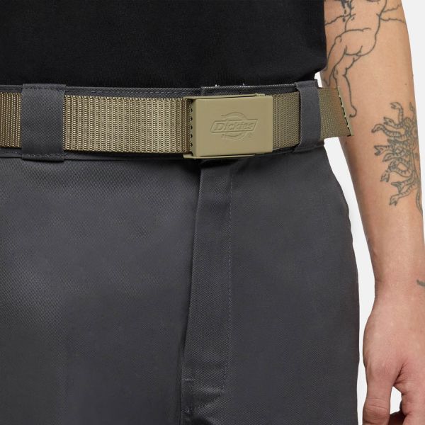 Ремінь Dickies DK0A4Z3K0IP1