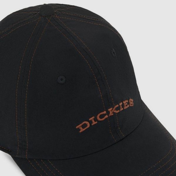Кепка Dickies DK0A4Z6PKBLK