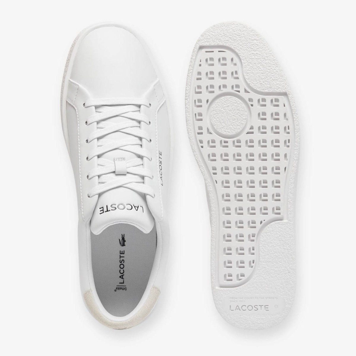 Кеди Lacoste Courtderby 125 1 CMA 749CMA004321G